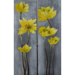 Obraz na desce - Dyptyk żółte kwiaty - 2 x 30x85 cm