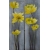 Obraz na desce - Dyptyk żółte kwiaty - 2 x 30x85 cm
